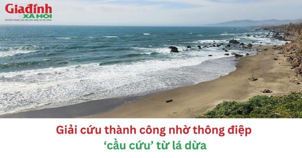 Giải cứu thành công nhờ thông điệp ‘cầu cứu’ từ lá dừa