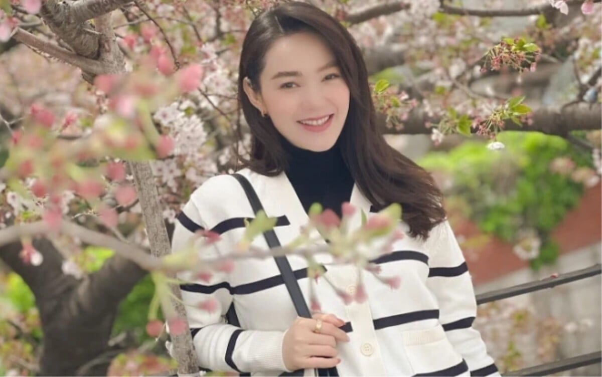 Vietnamesische Stars 5. April: „Schwangere Mutter“ Minh Hang geht Kirschblüten anschauen, Ky Duyen zeigt ihre schlanke Taille