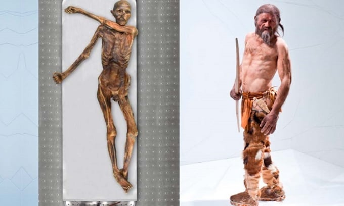 Xác ướp của Người băng Ötzi và hình ảnh phục dựng trước đây. Ảnh: Ancient Origins