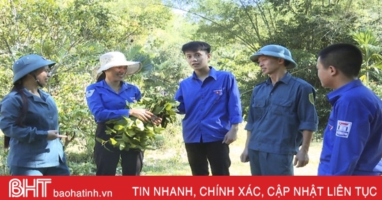 Cán bộ quân sự xã “đa năng” ở Hà Tĩnh