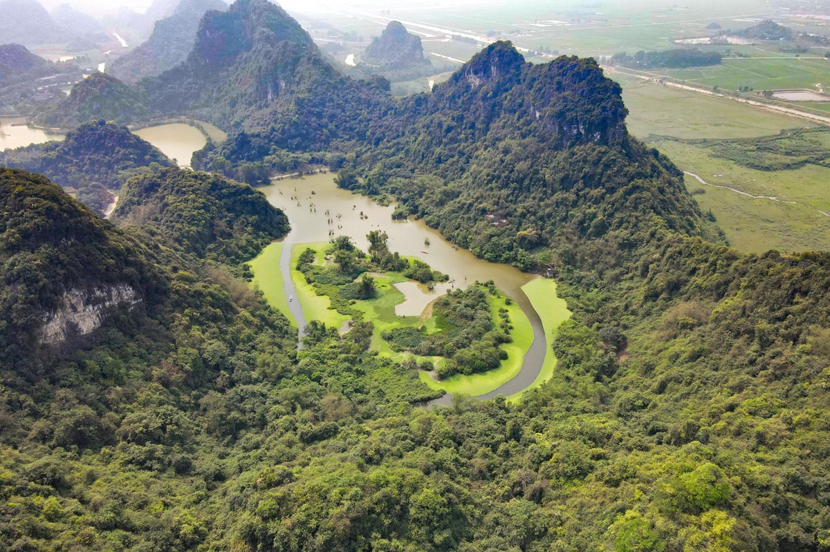 Chim hoang dã bay rợp trời trong khu du lịch- Ảnh 2.