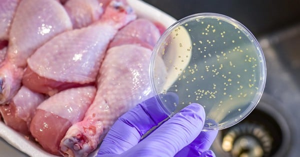 ตรวจพบเนื้อสัตว์ปนเปื้อนเชื้อ Salmonella เกือบ 1,320 ตัน ก่อนนำเข้าประเทศเวียดนาม