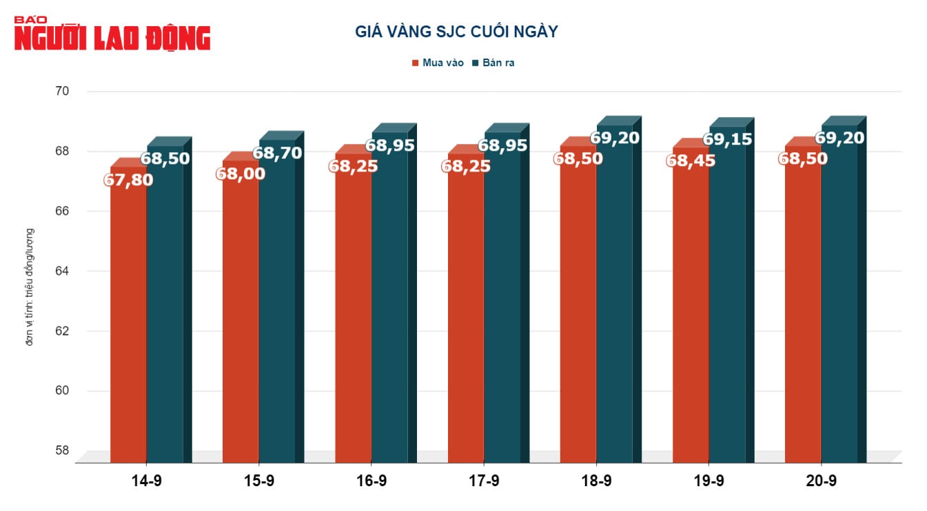 Giá vàng hôm nay 21-9: FED giữ nguyên lãi suất, vàng biến động dữ dội - Ảnh 3.