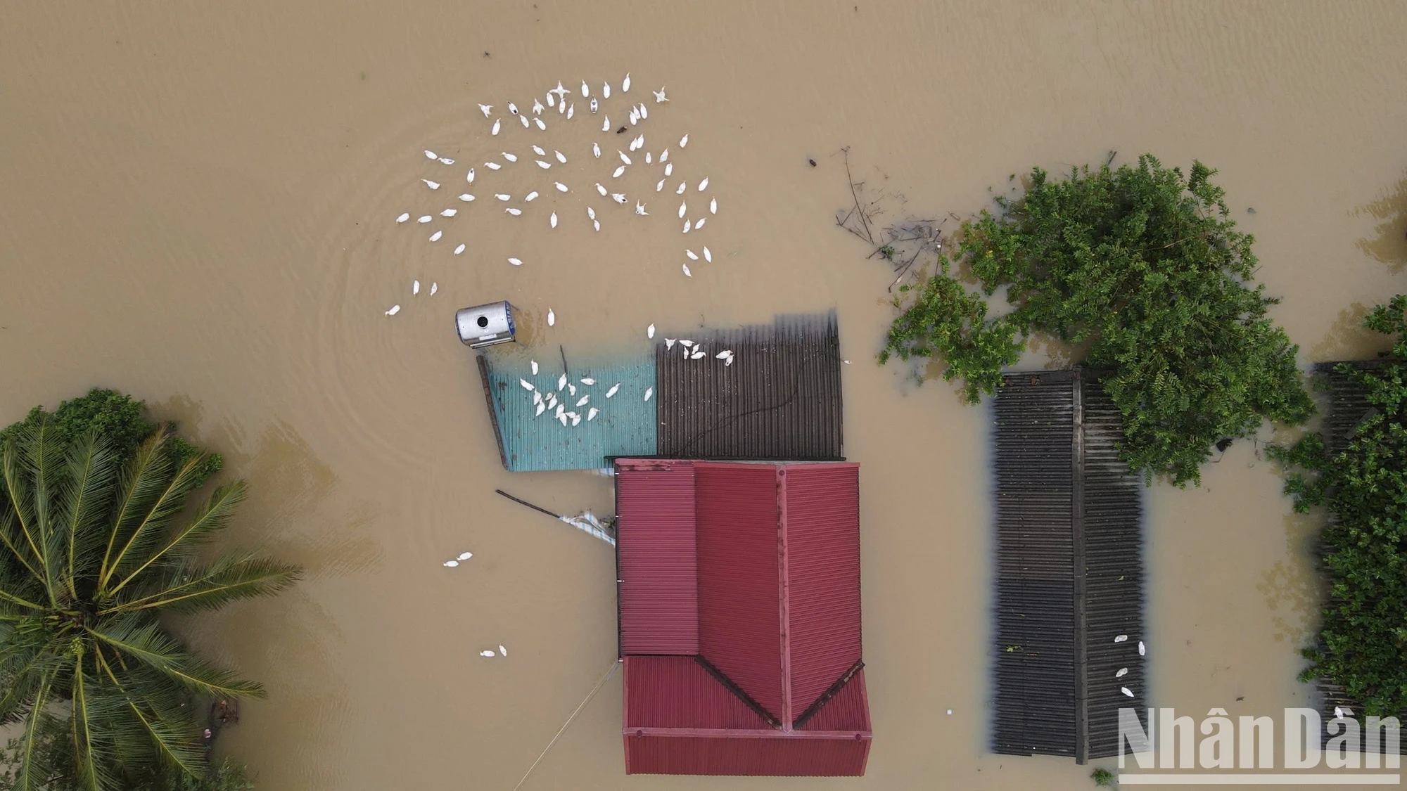 [Foto] Hanoi: El río Bui desborda el dique, muchas comunas en el distrito de Chuong My están inundadas foto 17