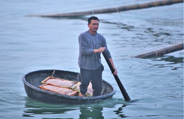 海上で5～7時間、ハティン漁師は大量のエビ漁で数千万ドンを稼ぐ 写真3