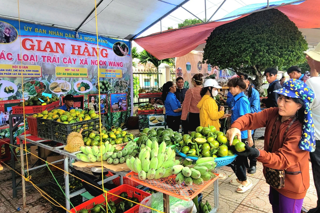 Kỳ thú màn đua heo sọc dưa, bắt gà vườn ở cao nguyên - 5