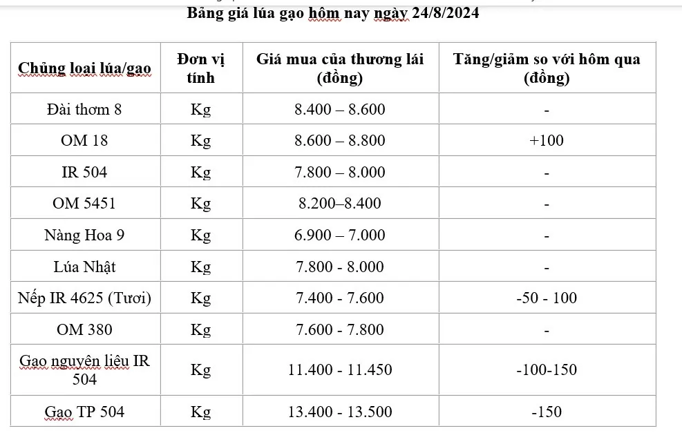 Giá lúa gạo hôm nay 24/8/2024: Giá gạo giảm từ 100 - 150 đồng/kg