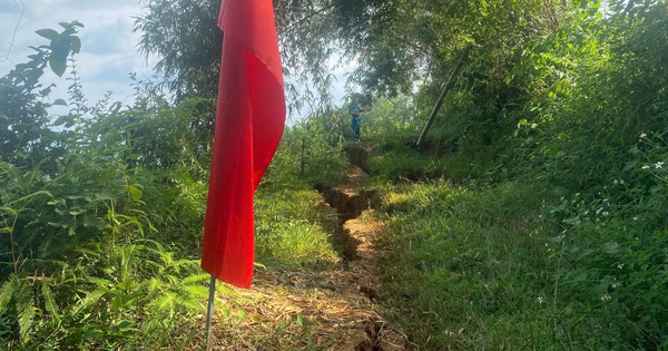 Plus de 140 ménages sont confrontés à un risque élevé de glissements de terrain, Hoa Binh déclare l'état d'urgence concernant les catastrophes naturelles