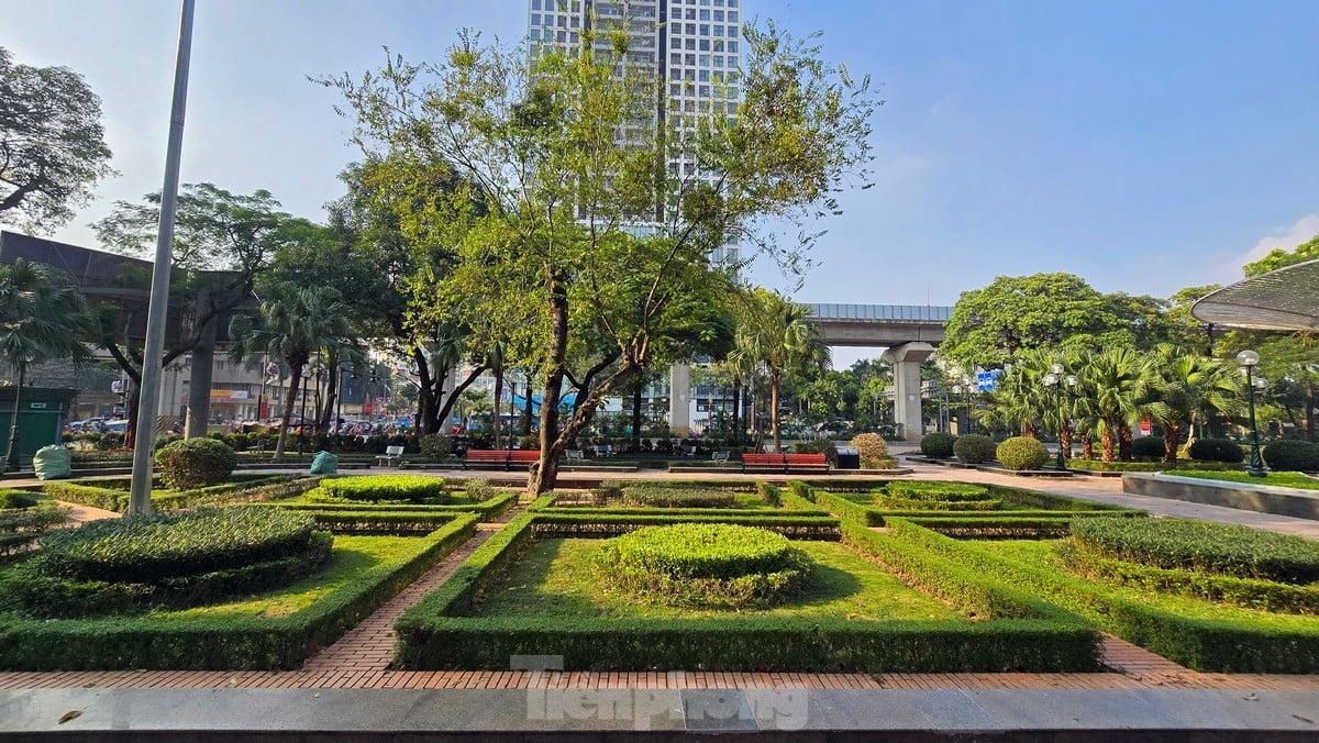 Flower gardens and parks in Ha Dong district 'wear new clothes' after investment and renovation photo 4