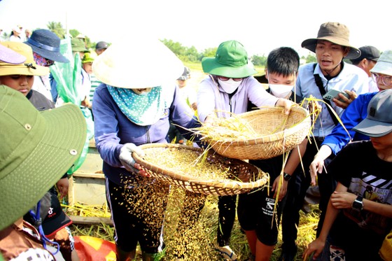 Lễ hội Ngày mùa trên quê hương cố Thủ tướng Phạm Văn Đồng ảnh 12