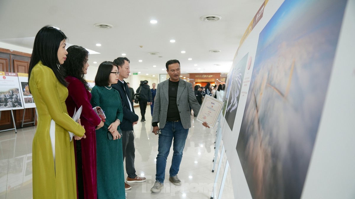 Fotografía ganadora del premio Golden Moment 2024 (n.° 10)