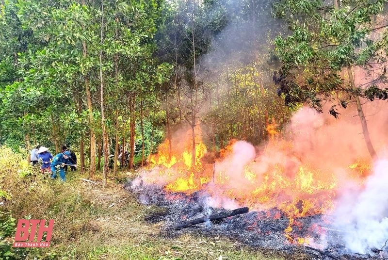 Télégramme urgent du président du Comité populaire provincial sur la prévention et la lutte contre les incendies de forêt