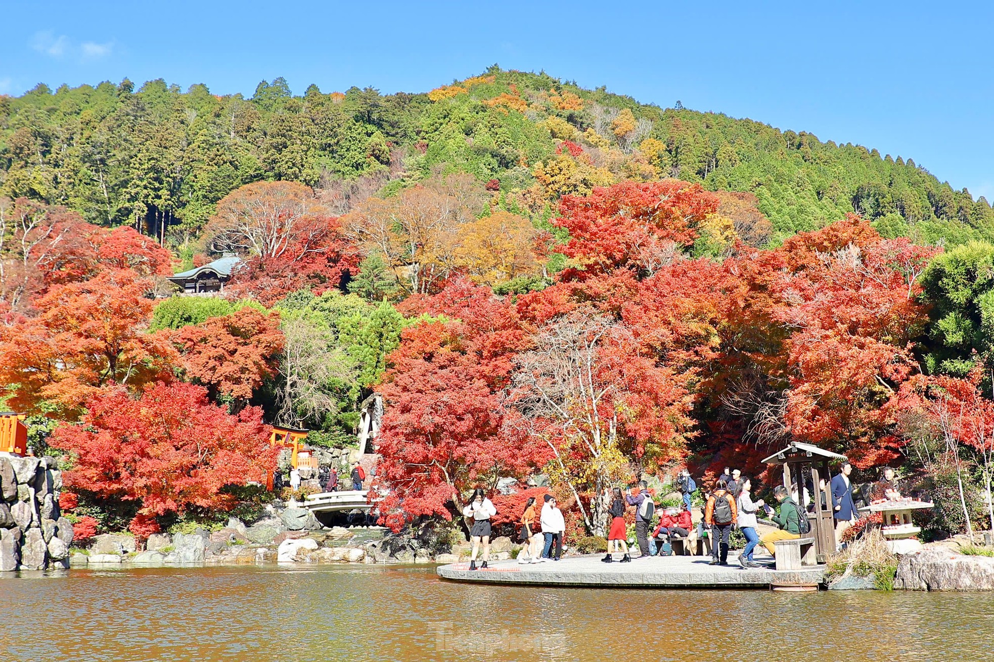 Fasziniert von der Herbstlandschaft mit roten und gelben Blättern in Japan, Foto 5