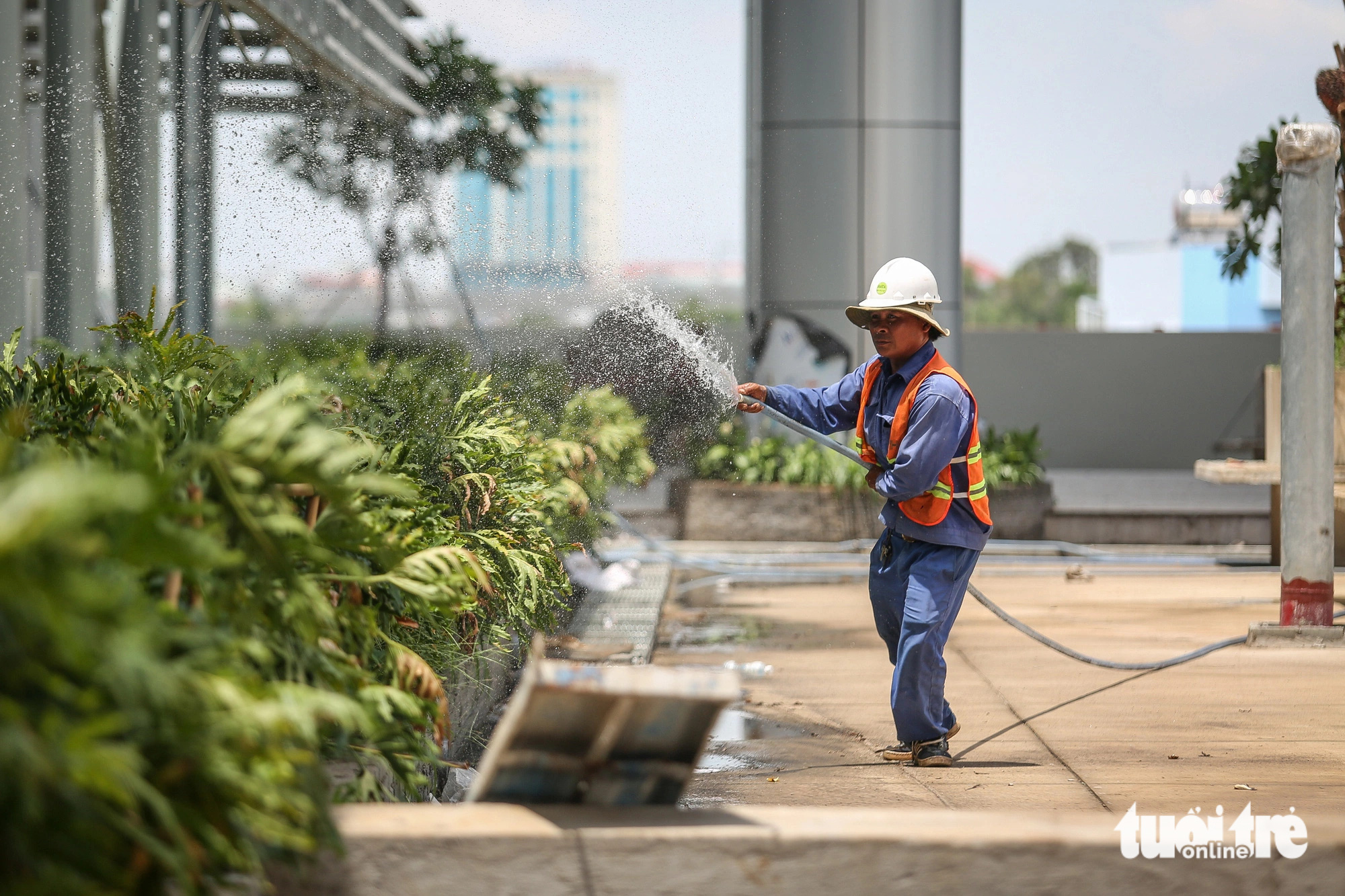 Sáng 31-5, anh Minh Tuấn chăm sóc mảng xanh ở lầu 3 của bệnh viện chia sẻ: 