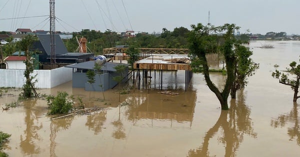 Les inondations sur la rivière Cau ont dépassé le niveau d'alerte 3, comment se passent les inondations sur la rivière Rouge à Hanoi ?