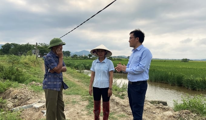 M. Nguyen Thanh Hai, vice-président du Comité populaire du district de Ky Anh (à l'extrême droite) accompagne toujours les agriculteurs dans le processus de mise en œuvre du modèle de production de riz biologique sur le champ de vers de sang de la commune de Ky Khang. Photo : Nguyen Hoan.