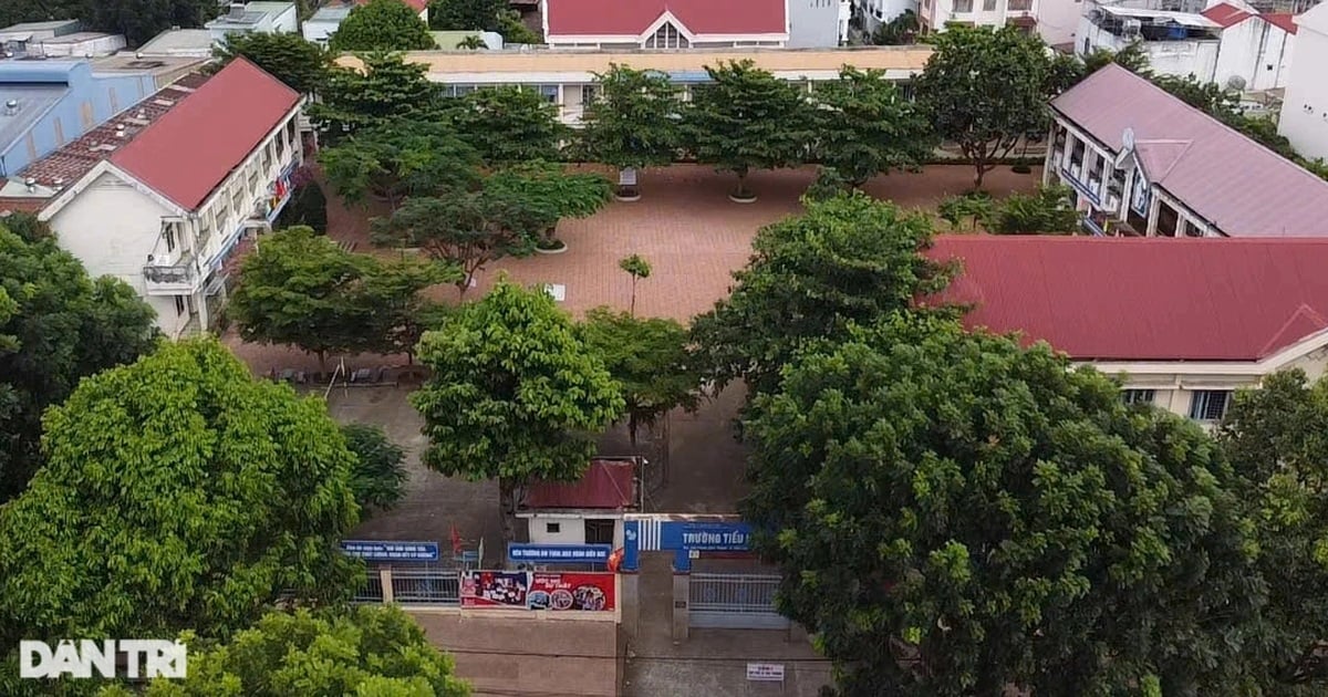 Un olor extraño provocó que una maestra se desmayara: dos escuelas les dan un día libre a los estudiantes