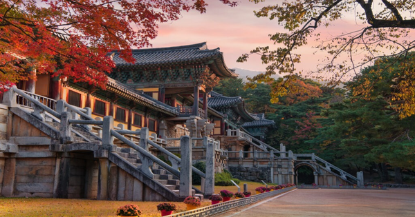 Discover the hidden gems in Korea