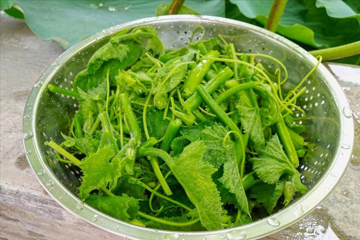 Loại rau mệnh danh 