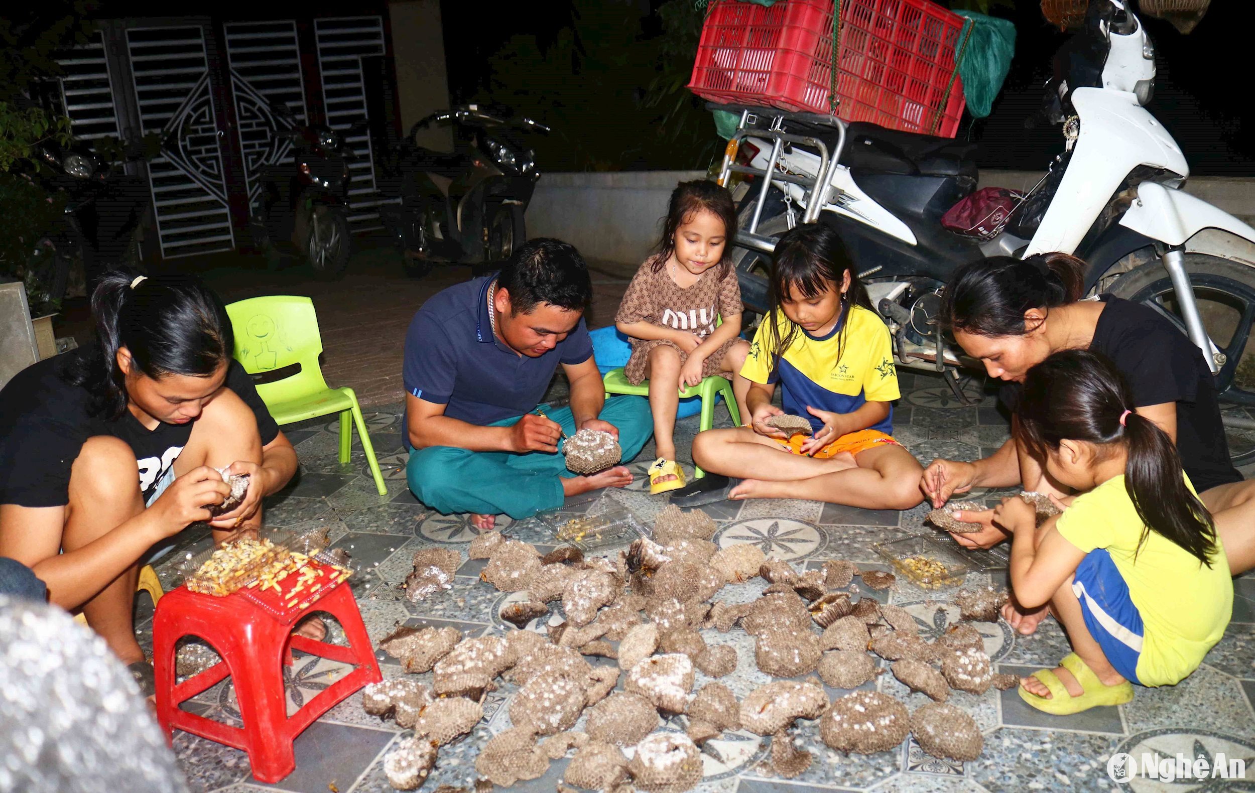 Người dân Nghệ An đổ xô vào rừng săn tổ ong, vài ngày lại có thương lái Trung Quốc đến mua, trả giá tiền triệu- Ảnh 5.