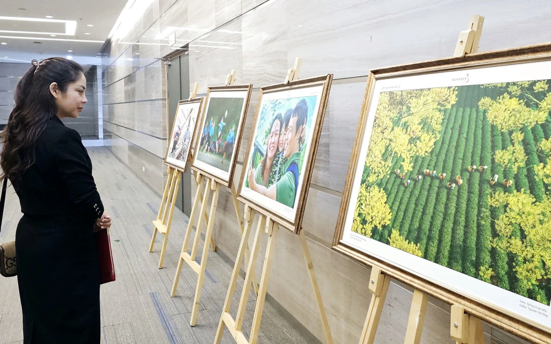 34 obras ganadoras del concurso de fotografía y vídeo “Feliz Vietnam 2024”