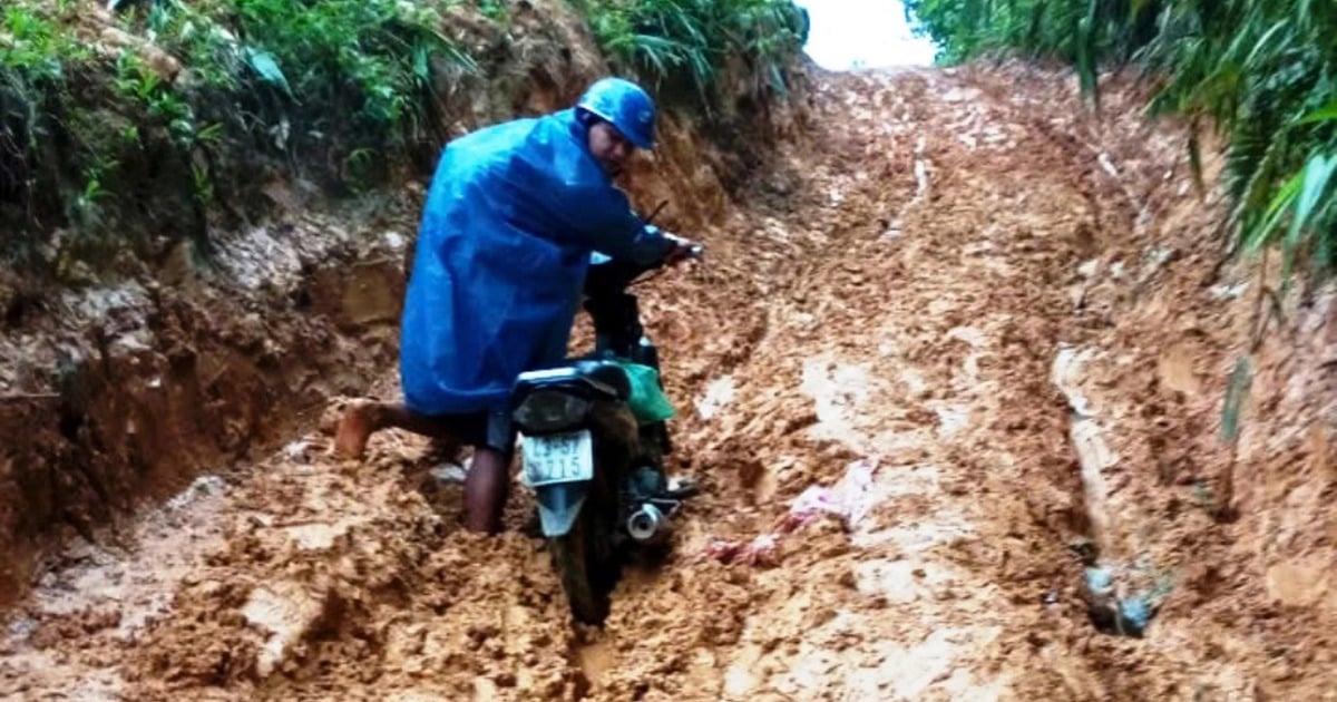 Gian nan hành trình 'gieo chữ trên mây'