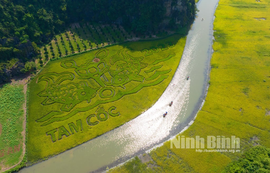 Hoa Lu inspects preparations for Ninh Binh Tourism Week