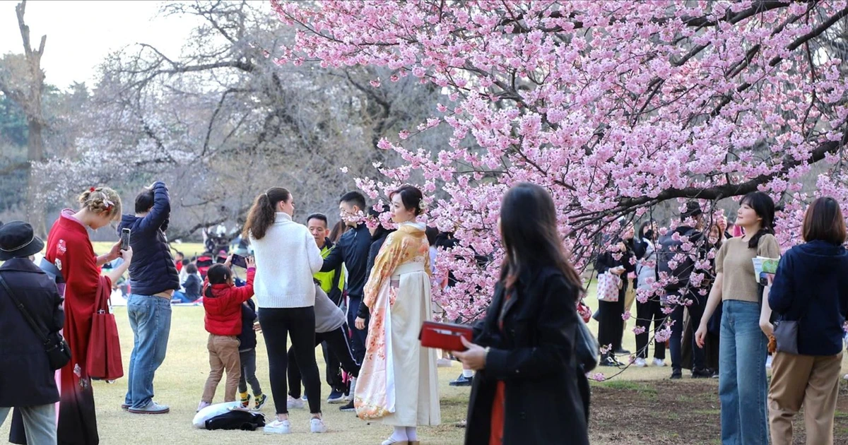 Land of the Rising Sun attracts tourists