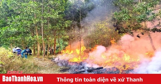 Công điện khẩn của Chủ tịch UBND tỉnh về phòng cháy, chữa cháy rừng