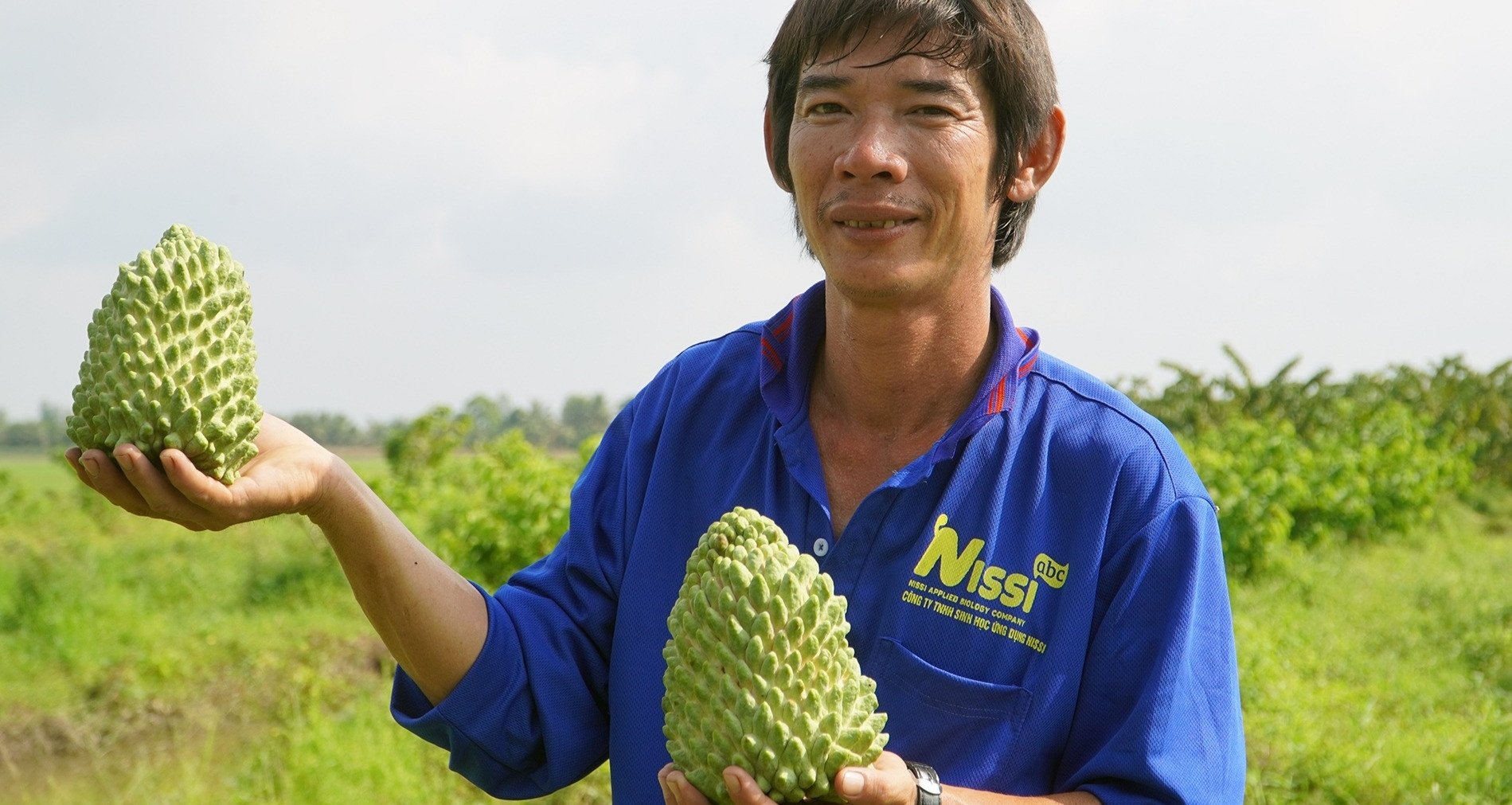 Anh trai Cần Thơ phát tài nhờ vườn ‘na sầu riêng’, trái to, ăn ngọt thanh