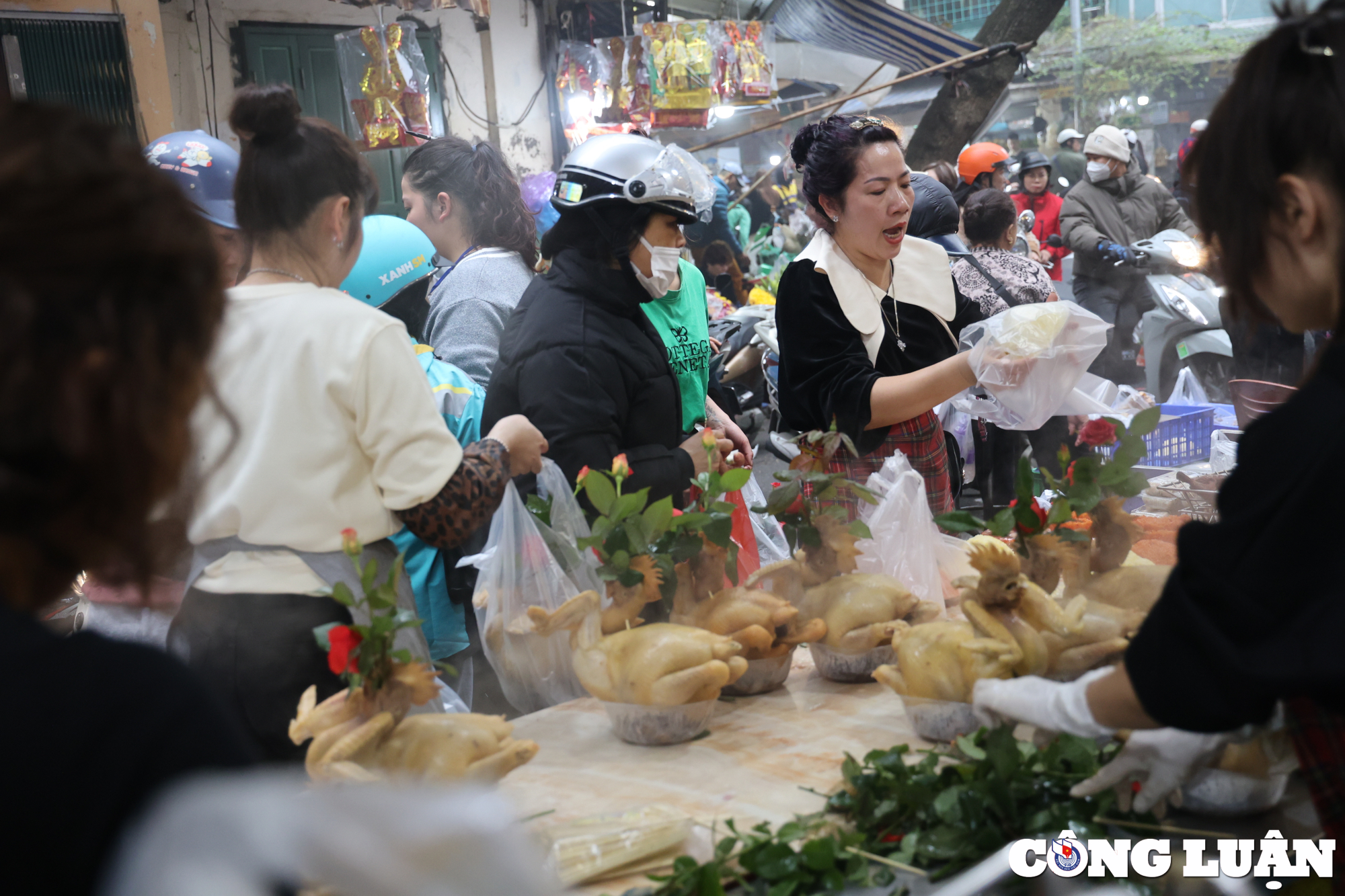 ga ngam hoa hong hut khach tai cho nha giau ha noi hinh 11