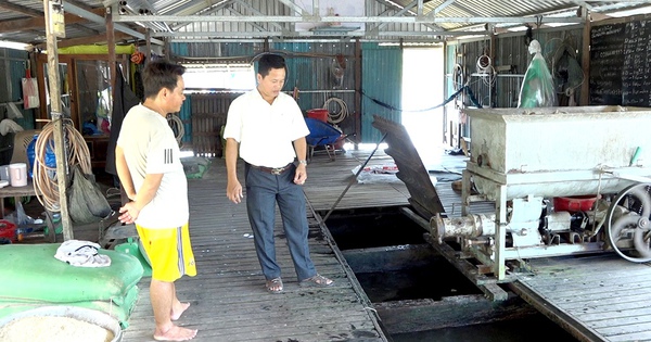 Le poisson crapaud, un poisson de spécialité au nom peu flatteur, délicieux à manger, élevé avec succès par des agriculteurs à An Giang, vendu 150 000 VND/kg