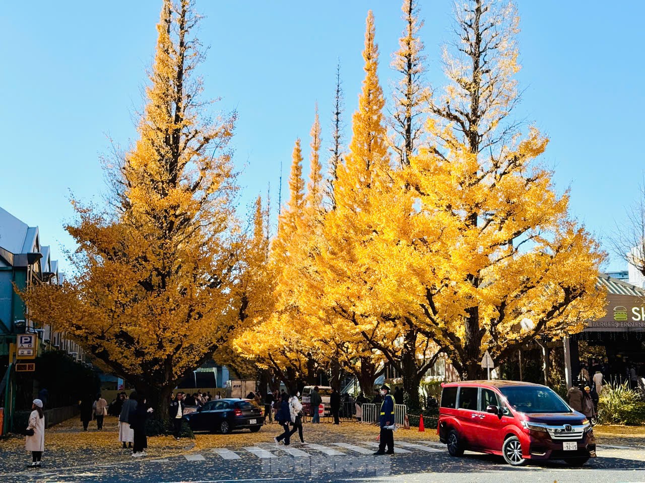 Fasziniert von der Herbstlandschaft mit roten und gelben Blättern in Japan Foto 33