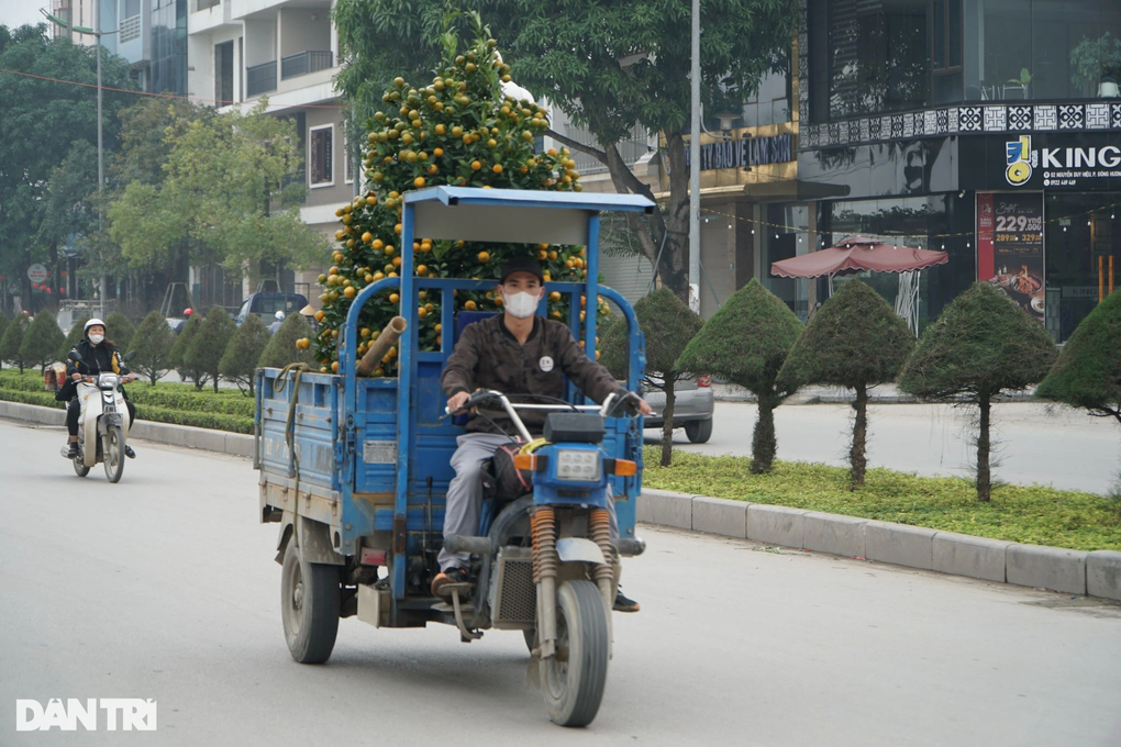 Thợ xây tranh thủ nhận mang xuân về nhà kiếm tiền triệu ngày cận Tết - 4