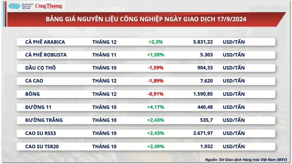 Xuất khẩu cà phê thu về 4 tỷ trong 8 tháng năm 2024