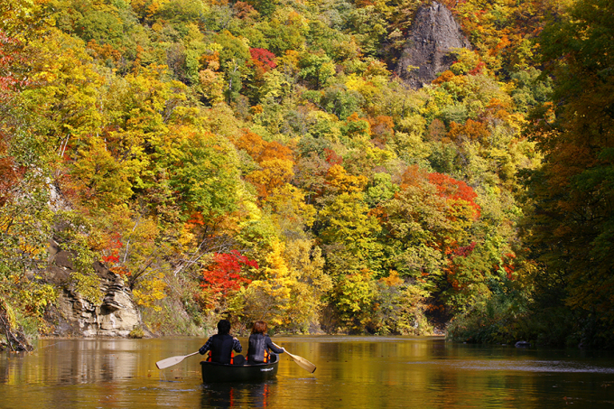 Herbst in Sapporo. Foto von : Welcome to Sapporo