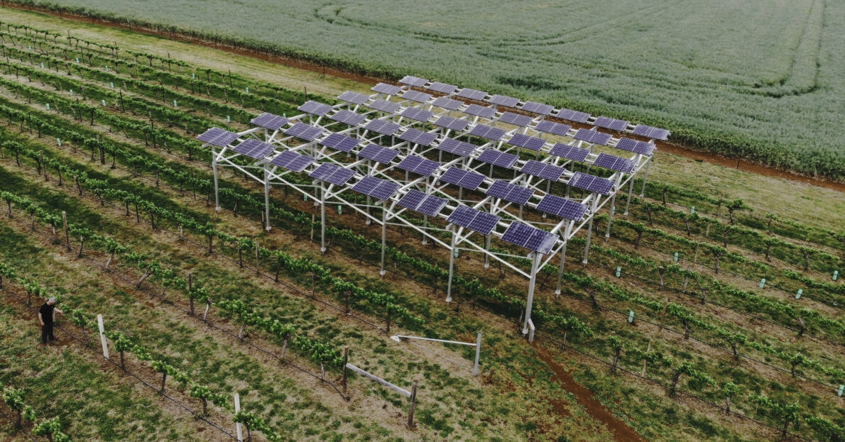 La surprise des panneaux solaires dans les vignobles australiens