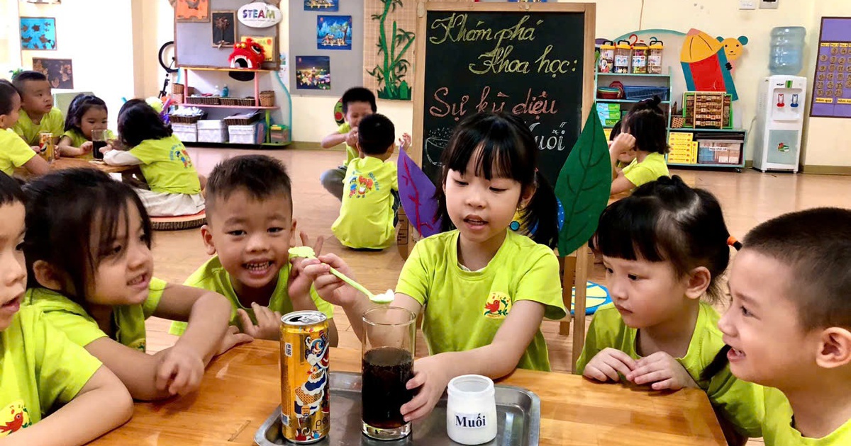 Los niños de 5 años necesitan ser responsables de sí mismos, de los demás y del medio ambiente.