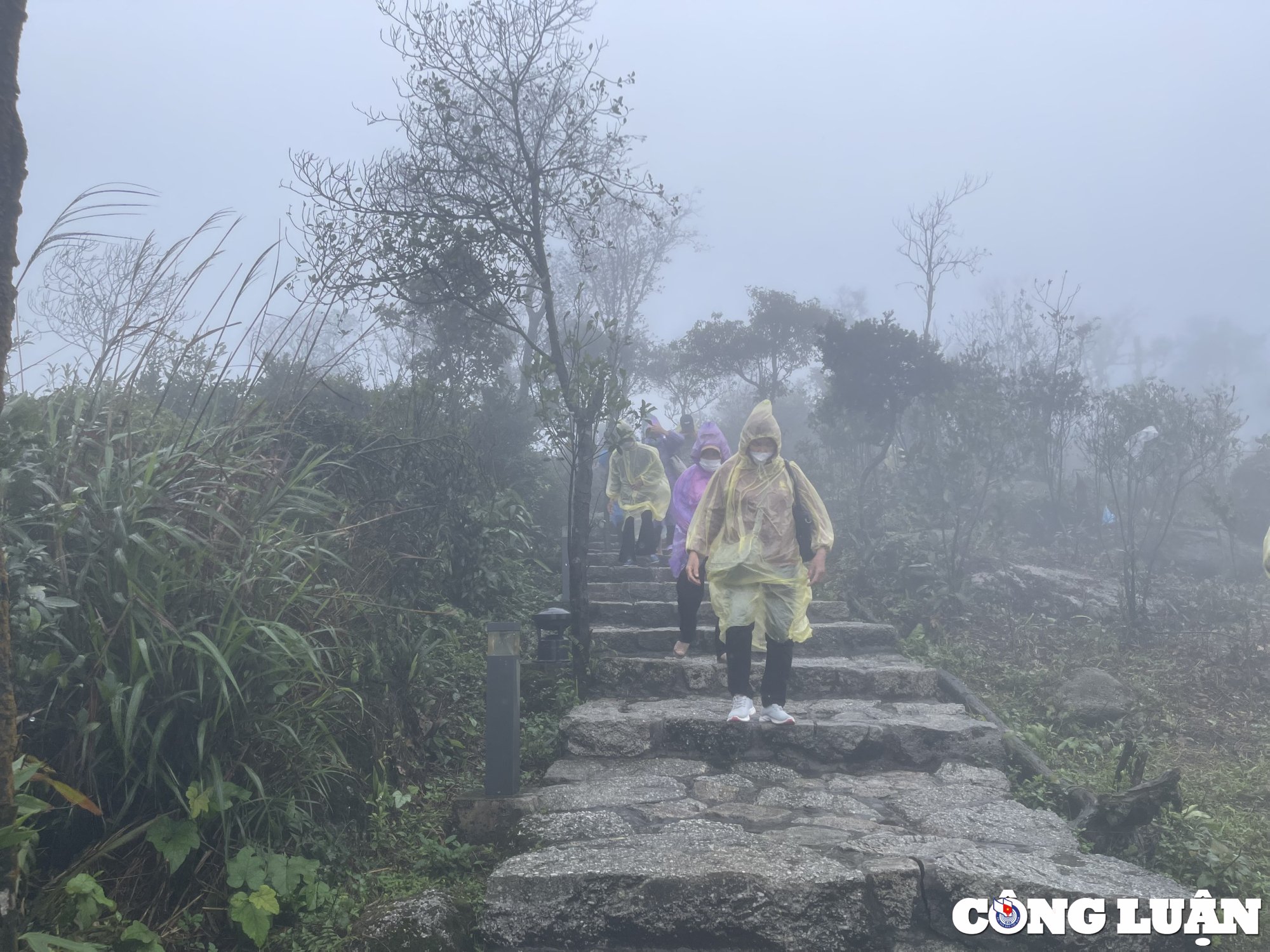 Touristen erobern die Thuong-Pagode in Tay Yen Tu, Bild 12