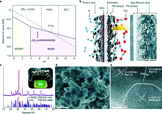 La membrane convertit le CO2 en substances utiles