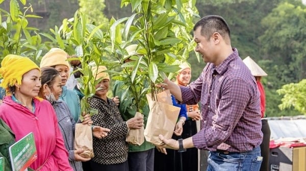 Trao tặng 250.000 cây xanh cho 2 tỉnh Yên Bái và Lào Cai, tiếp nối "Hành động vì một Việt Nam xanh"