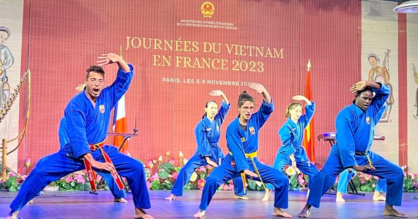 Ấn tượng vovinam tại sự kiện 'Ngày Việt Nam tại Pháp 2023'