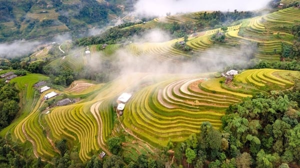 "Tác phẩm" nghệ thuật làm say đắm lòng người