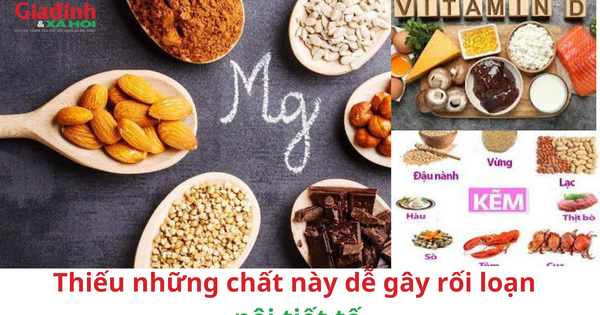 Thiếu những chất này dễ gây rối loạn nội tiết tố