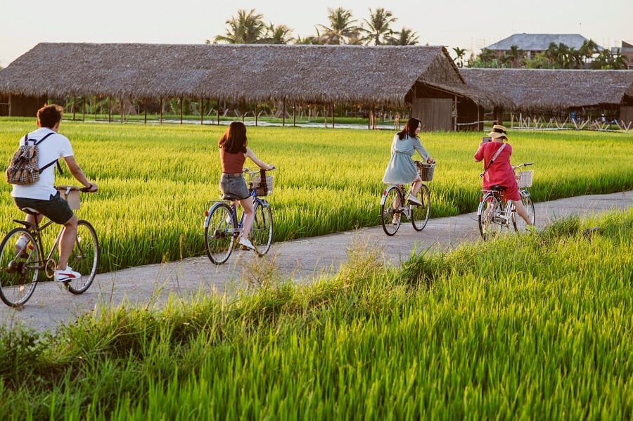 Quang Ngai ដាស់​វិស័យ​ទេសចរណ៍​កសិកម្ម