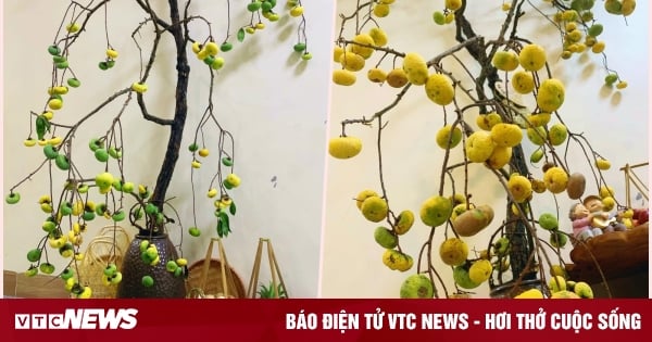 Les femmes sont « excitées », le passe-temps consistant à mettre des branches de pommier étoilé dans des vases est en plein essor