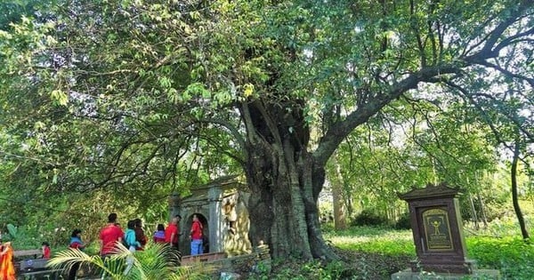 An ancient village in Hue with a rich tradition of learning, countless professors, doctors, bachelors, and masters