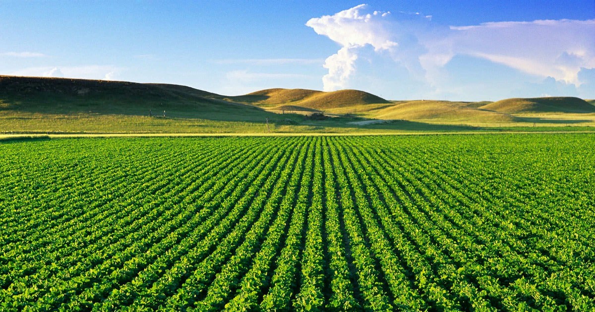 Propuesta para extender la exención del impuesto sobre el uso de tierras agrícolas hasta finales de 2030