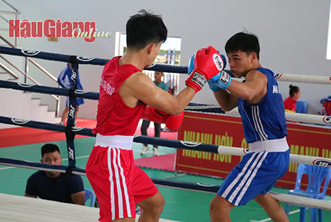 Boxing and taekwondo competition at the Delta Sports Festival