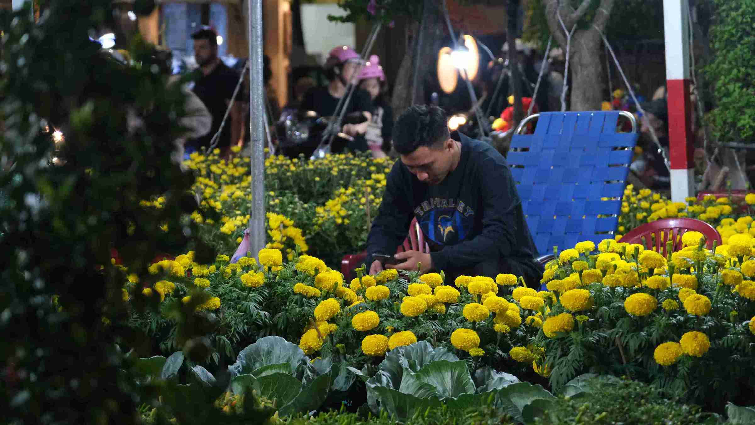 Vender en línea ayuda a los jardineros a evitar la molestia de esperar a los clientes y reduce los costos de alquiler en comparación con los métodos de venta tradicionales. Foto: Phong Linh.